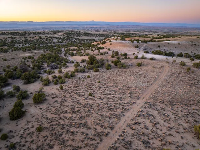 Expansive desert landscape featuring natural foliage, a winding dirt path, and distant mountain ranges