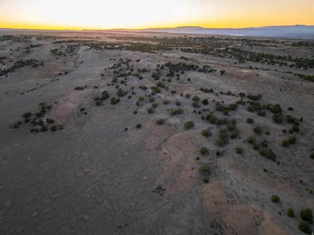Expansive acreage featuring natural vegetation and scattered trees