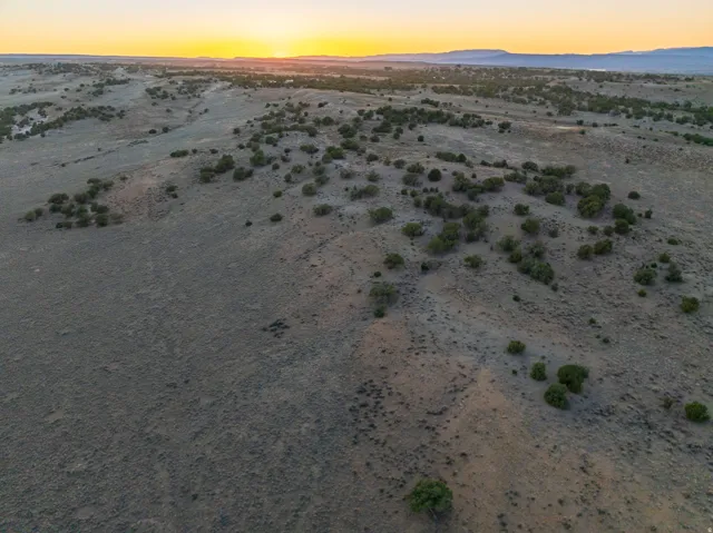 Expansive, undeveloped acreage featuring natural ground cover and scattered low-growth vegetation