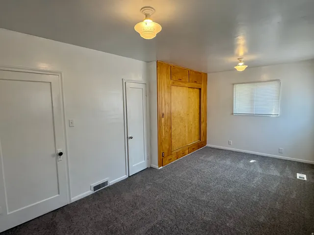 Room featuring a full-height built-in wood-finish cabinet, grey carpet flooring, and two ceiling-mounted light fixtures