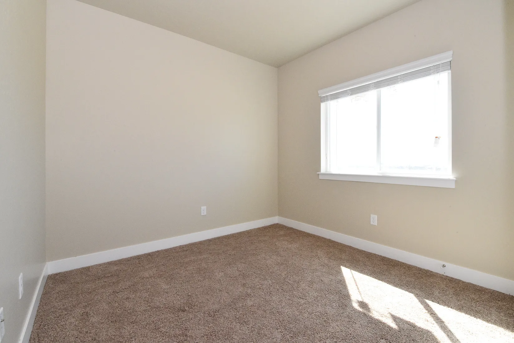 Neutral-toned walls complement plush carpet flooring