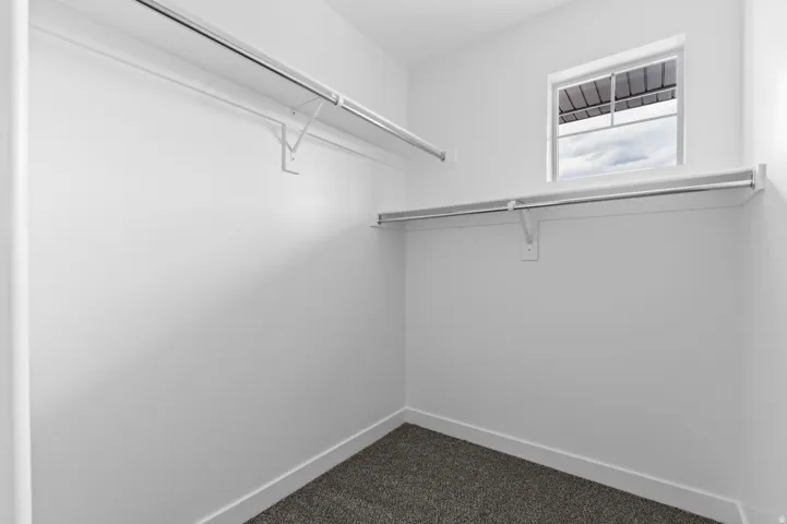 Walk-in closet featuring white wire shelving, hanging rods, a window, and gray carpet flooring