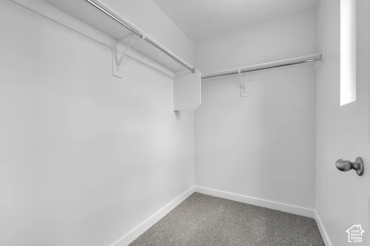 Walk-in closet featuring light gray carpeting, white walls, and bright white baseboards