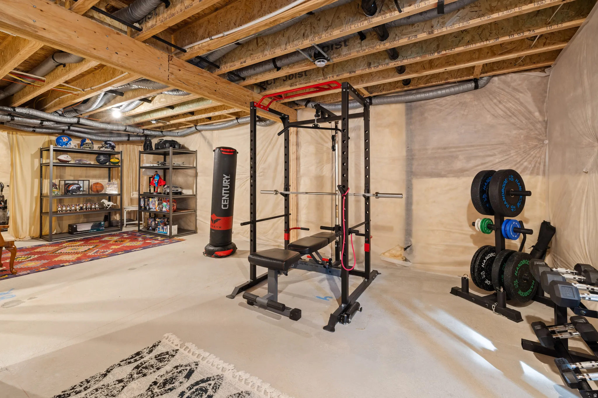 Unfinished basement with storage and home-gym
