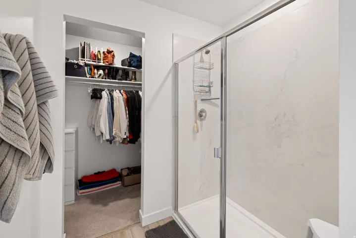 Master bath with spacious walk-in shower and walk-in closet with carpet flooring and shelving system