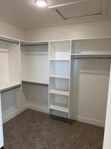 Spacious walk-in closet featuring white built-in shelving, multiple hanging rods, and plush carpeting