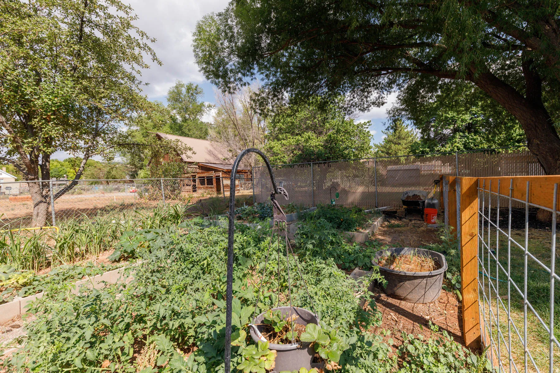 Fenced garden area with established plantings and raised beds