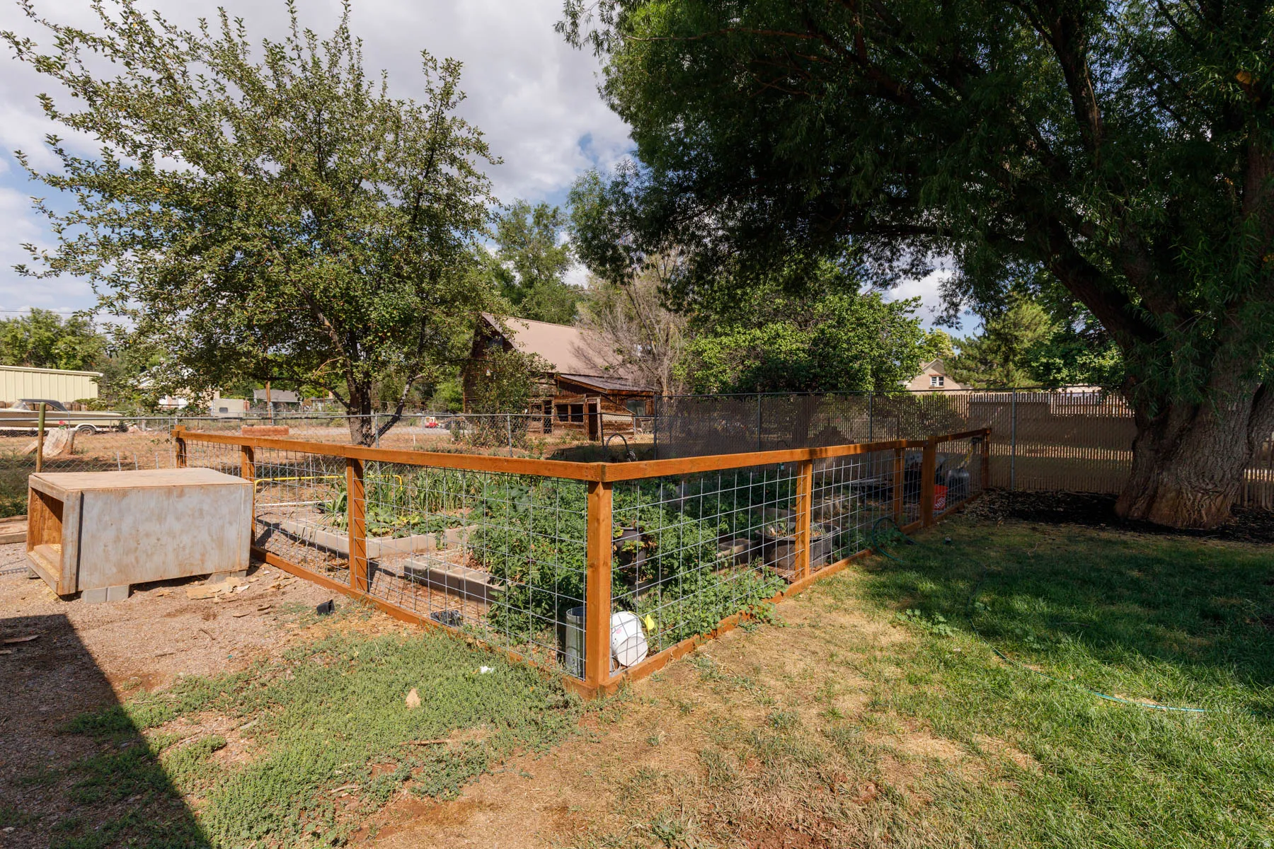 Fenced garden area featuring raised beds and established plants, bordered by a substantial mature tree