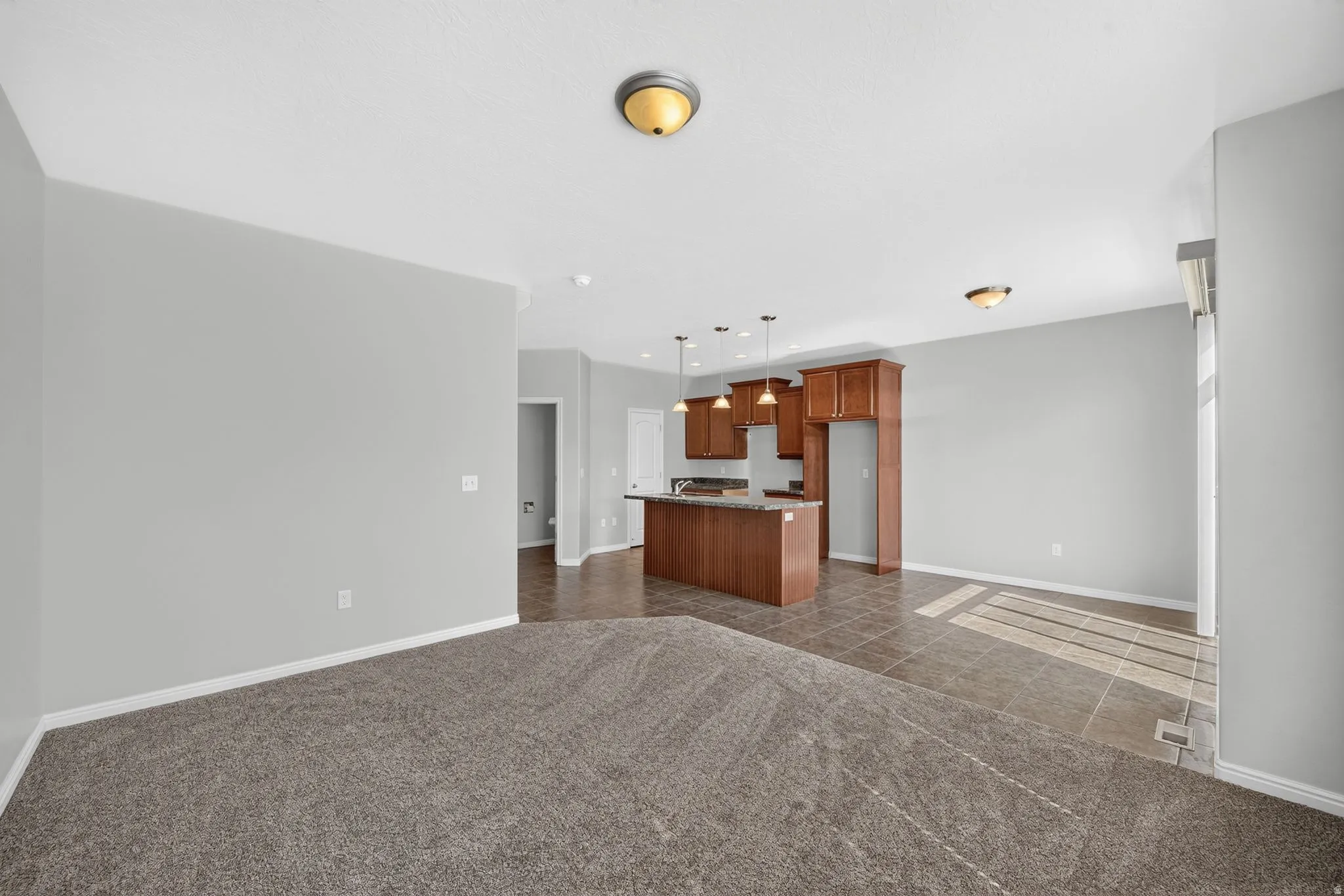 Open-concept interior featuring light gray wall paint and two distinct flooring types