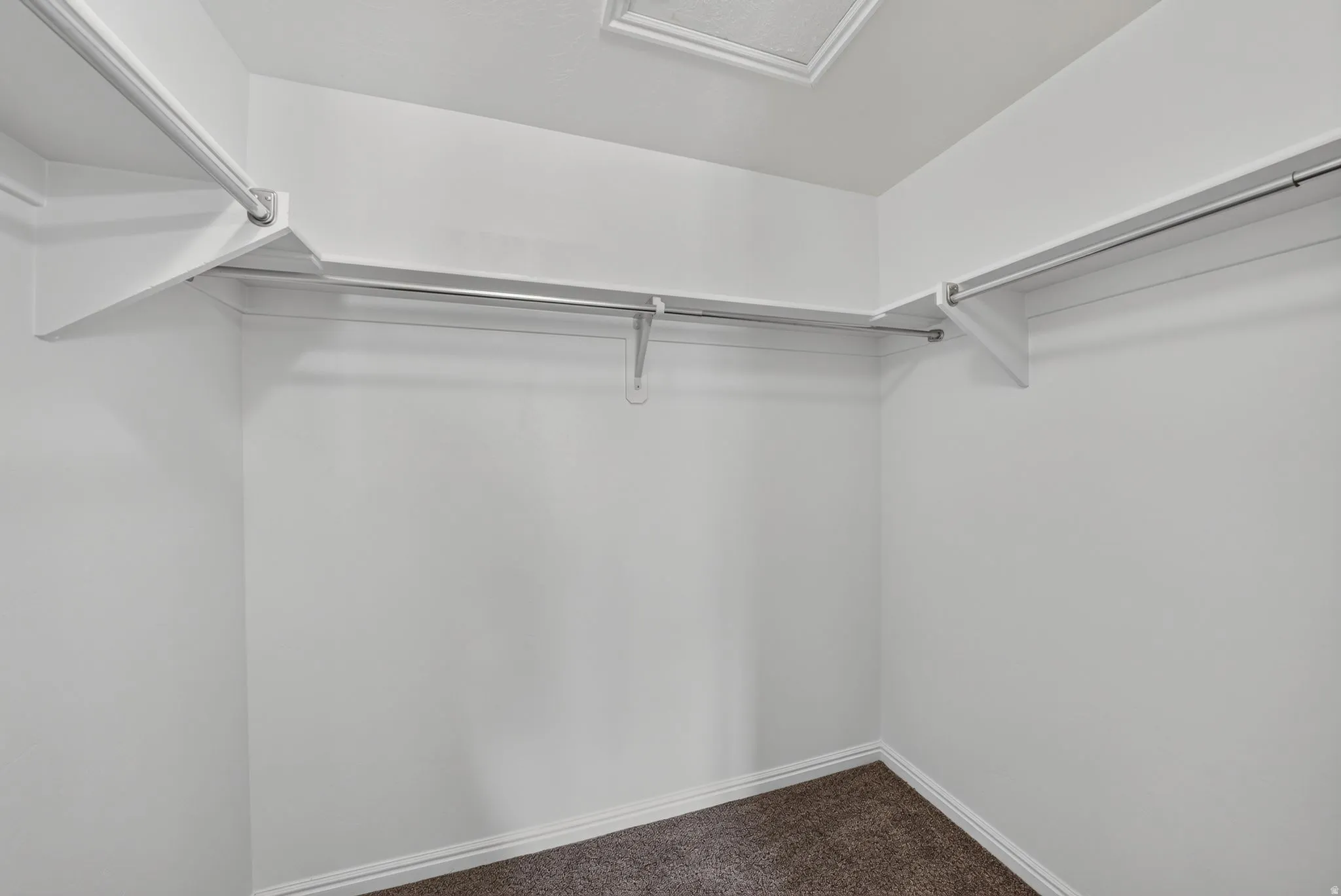 Walk-in closet featuring white walls, white trim, and brown carpet flooring