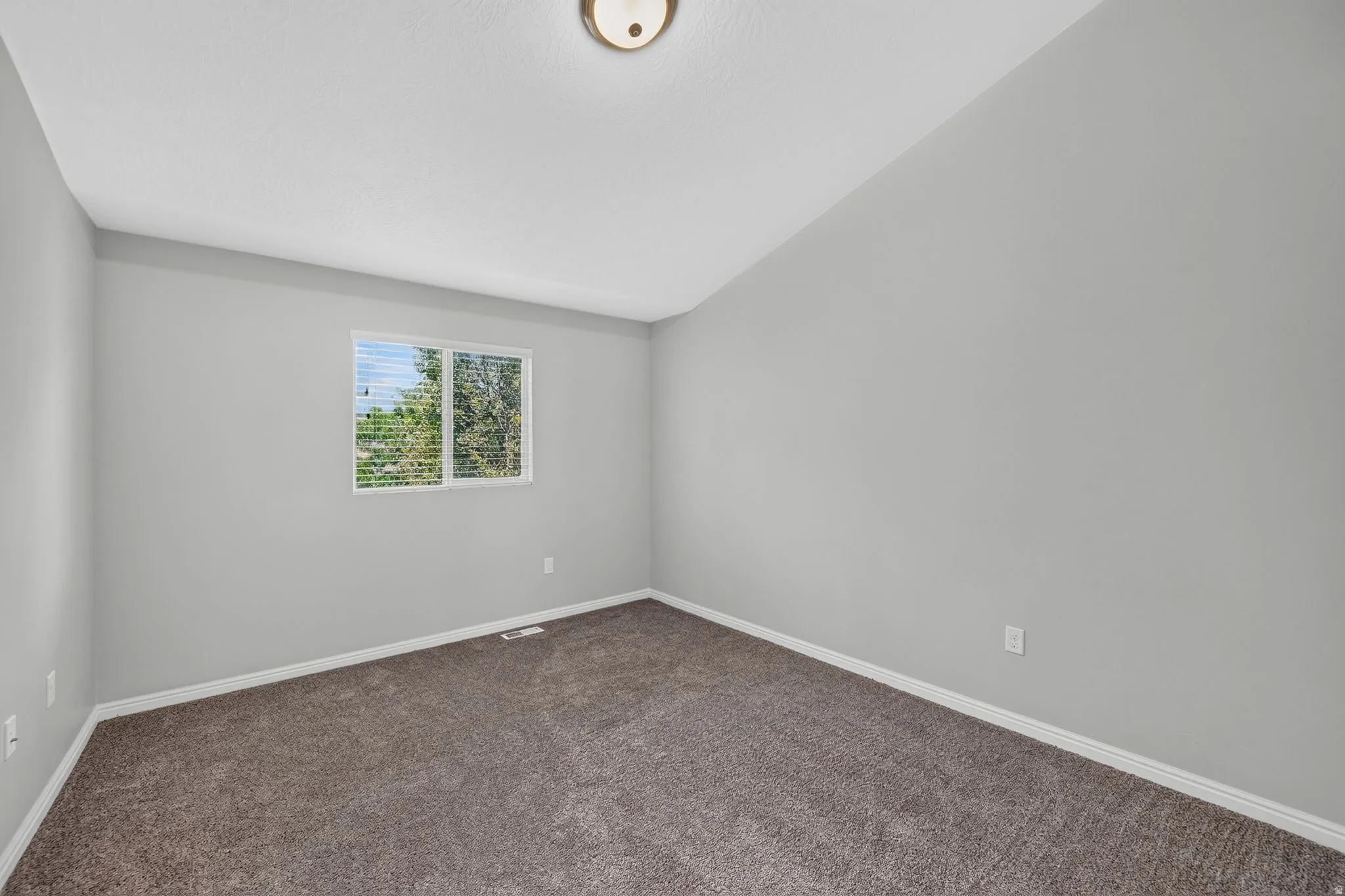 Carpeted room with a double window, light gray painted walls, white trim, and a ceiling-mounted light fixture