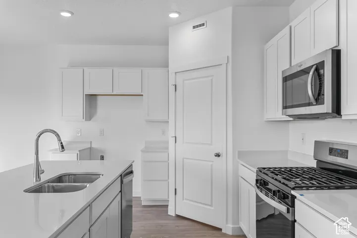 Contemporary kitchen featuring white cabinetry, light countertops, stainless steel appliances, a double basin sink, and recessed lighting