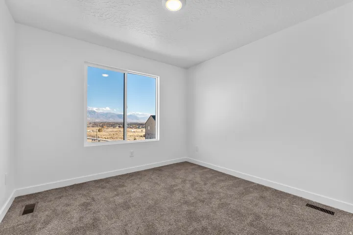 Bright interior space featuring a large window, neutral wall paint, textured ceiling, and plush carpet flooring