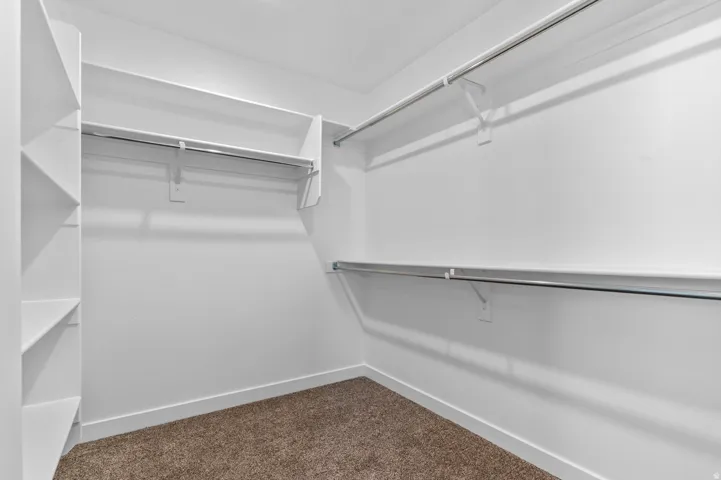 Walk-in closet featuring built-in shelving, chrome hanging rods, white trim, white walls, and brown carpet flooring