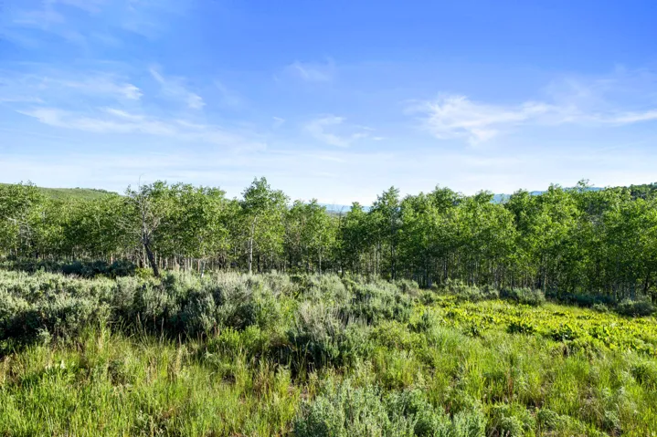17017 Ant Flat Rd, Huntsville, Utah 84317