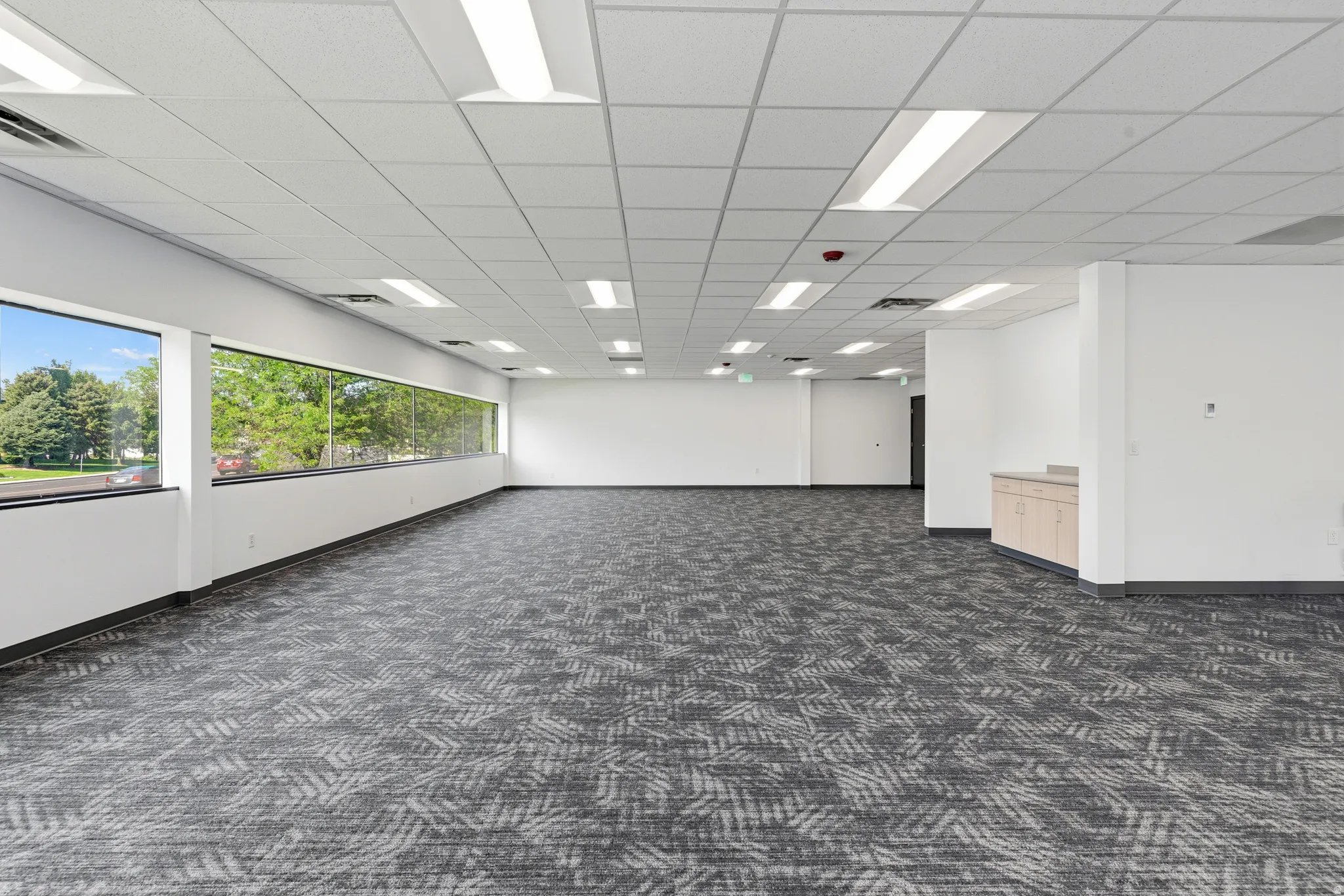 Expansive open-concept room featuring patterned carpet, a drop ceiling with integrated lighting, and a continuous band of windows