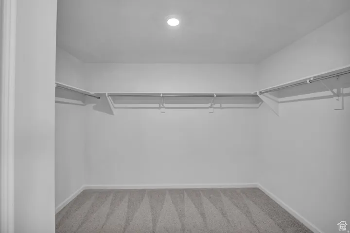Spacious walk-in closet featuring white walls, patterned carpet flooring, ceiling-mounted lighting, and built-in white shelving and hanging rods