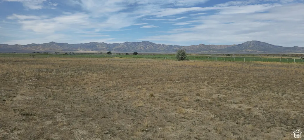 Expansive undeveloped land with a distant mountain backdrop
