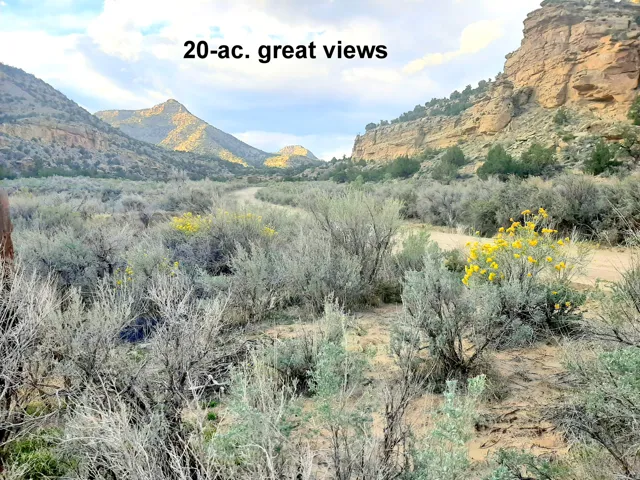 Mature native vegetation.