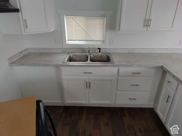 Kitchen featuring white cabinetry, gray countertops, a double-basin stainless steel sink, and wood-finish flooring