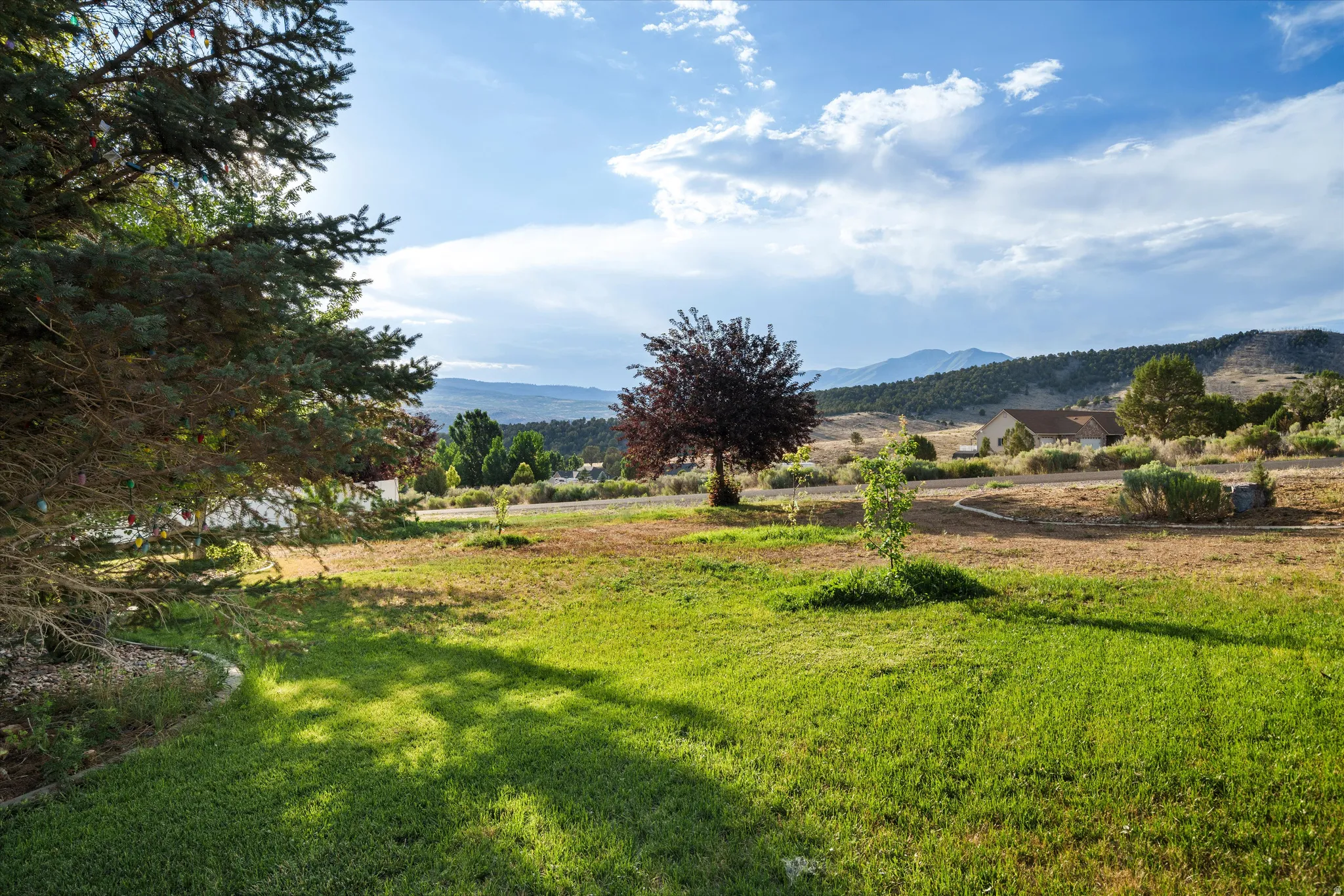 Expansive grassy area with mature evergreen foliage and distant mountain scenery