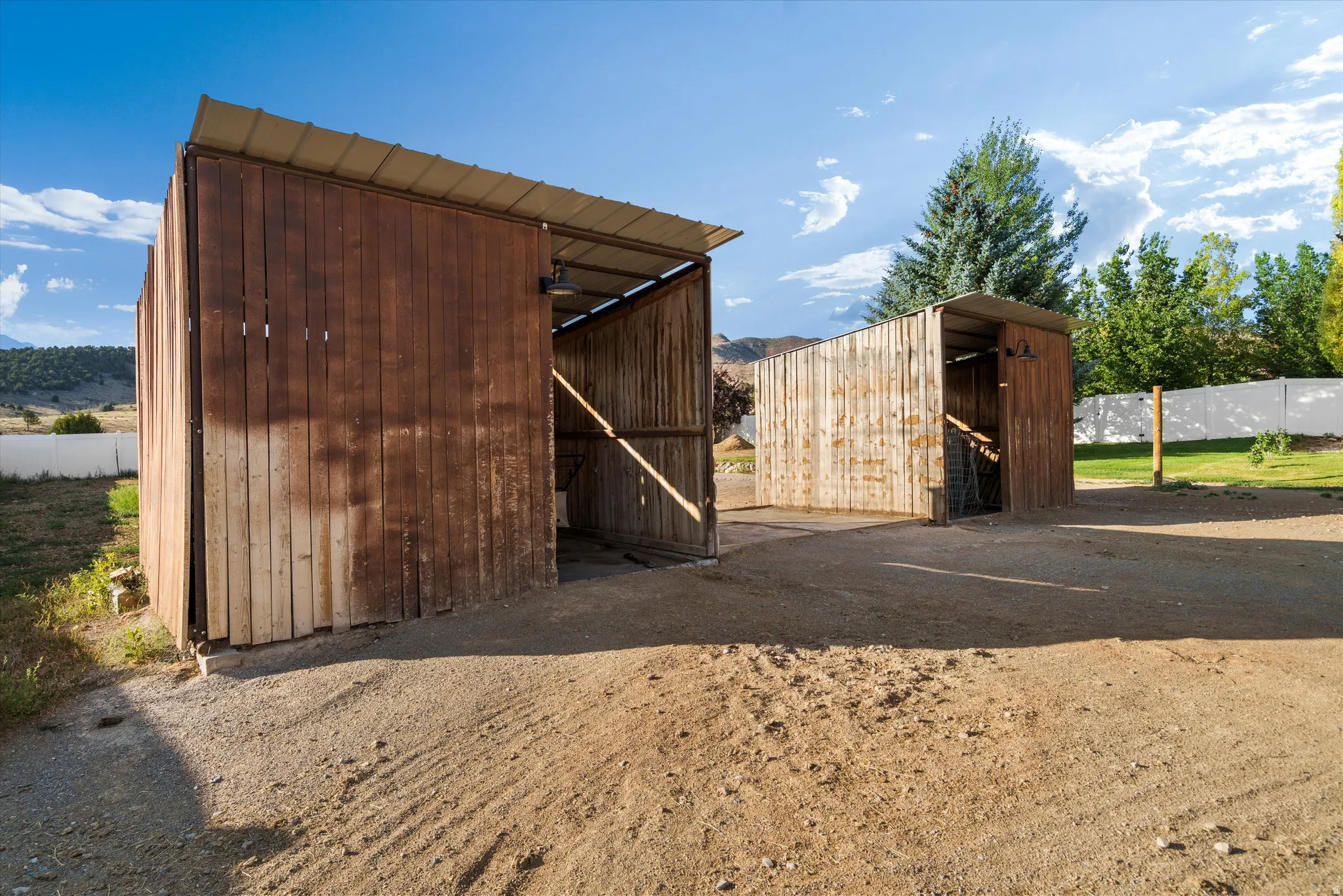 Horse Structure