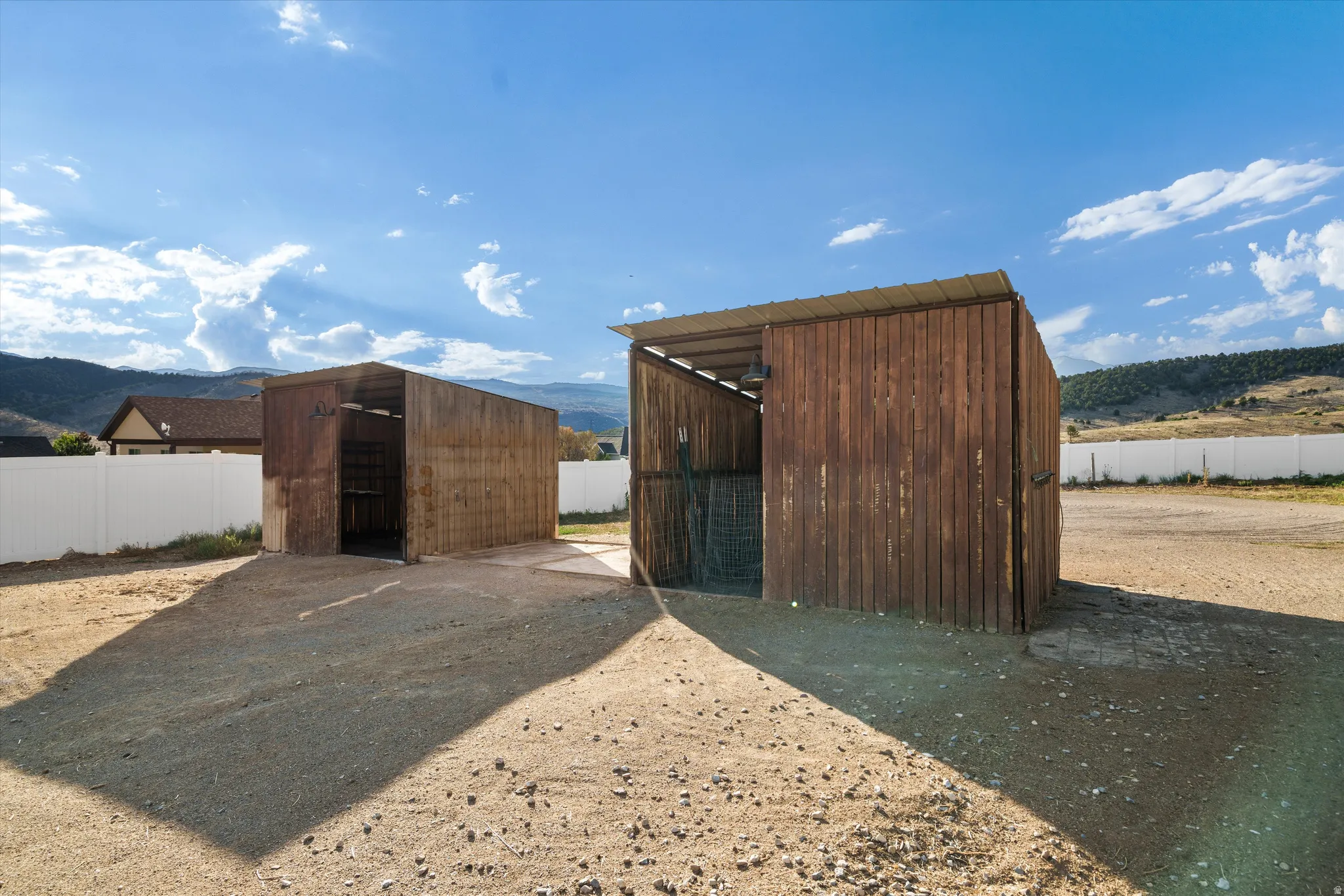 Horse Structure
