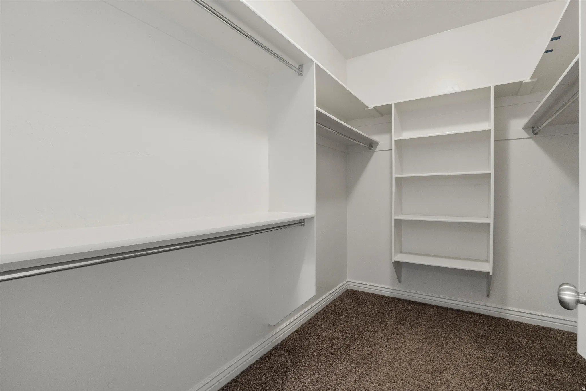 Walk-in closet featuring white built-in shelving, multiple hanging rods, white baseboards, and brown carpet flooring