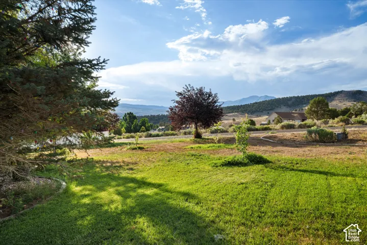 Expansive grassy area with mature evergreen foliage and distant mountain scenery