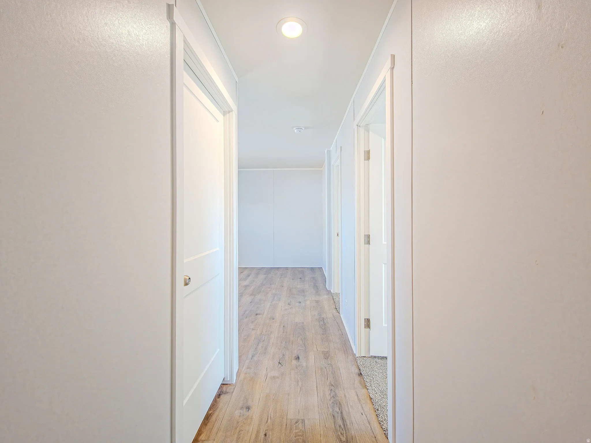 Hallway with wood-finish flooring and multiple white doors