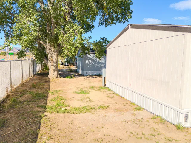 Chain-link fence bordering a side yard with a mature tree