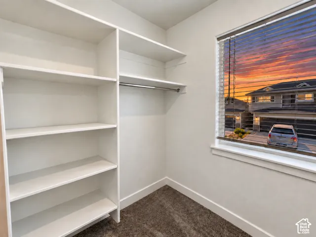 Built-in shelving, hanging rod, window with blinds, and neutral carpet flooring
