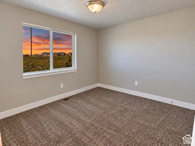 Neutral-toned walls, plush carpet flooring, and a flush mount ceiling light fixture