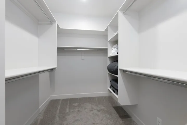 Spacious walk-in closet featuring white built-in shelving, hanging rods, and plush gray carpeting