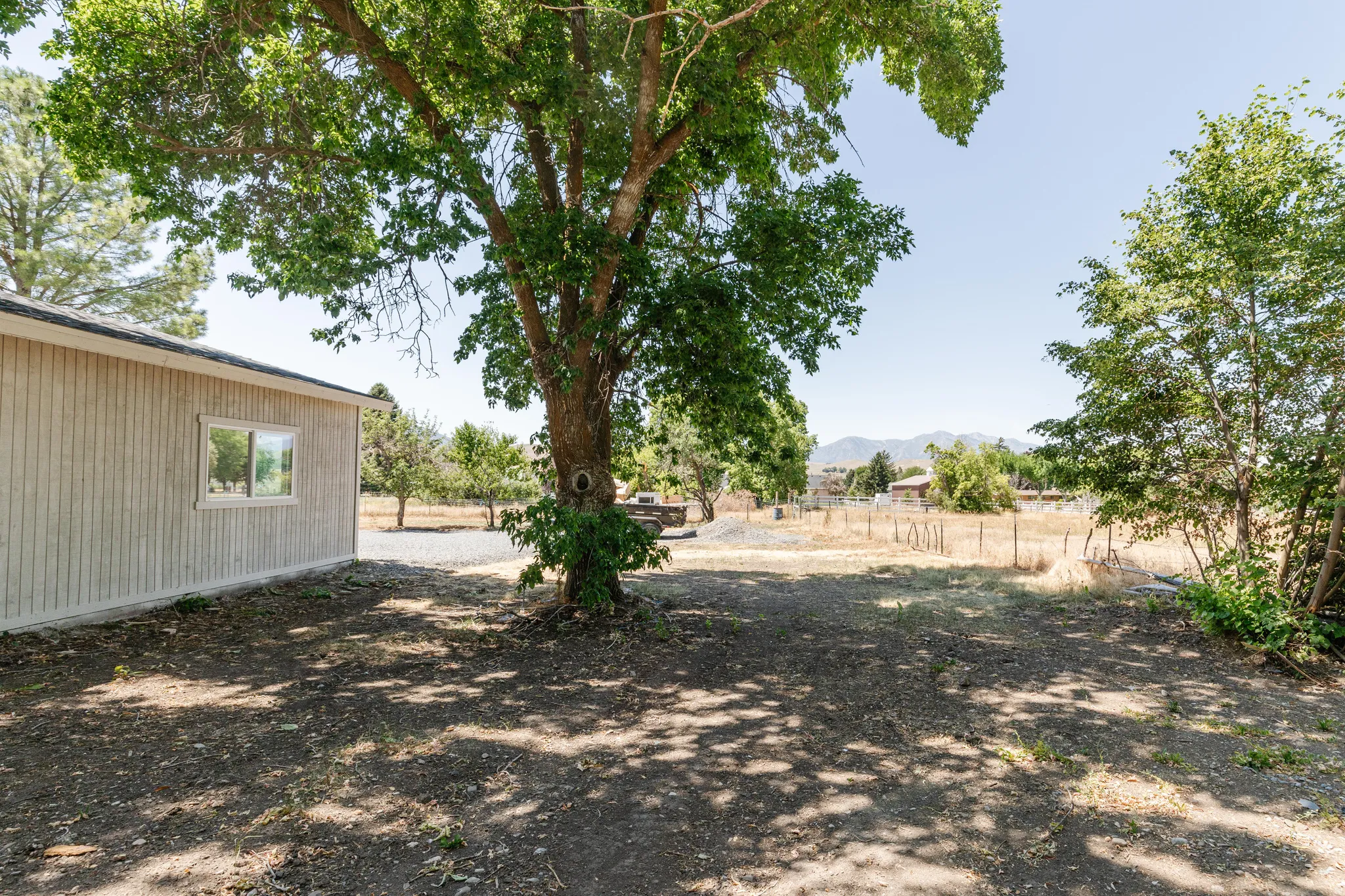 Expansive outdoor area featuring mature trees and a gravel driveway