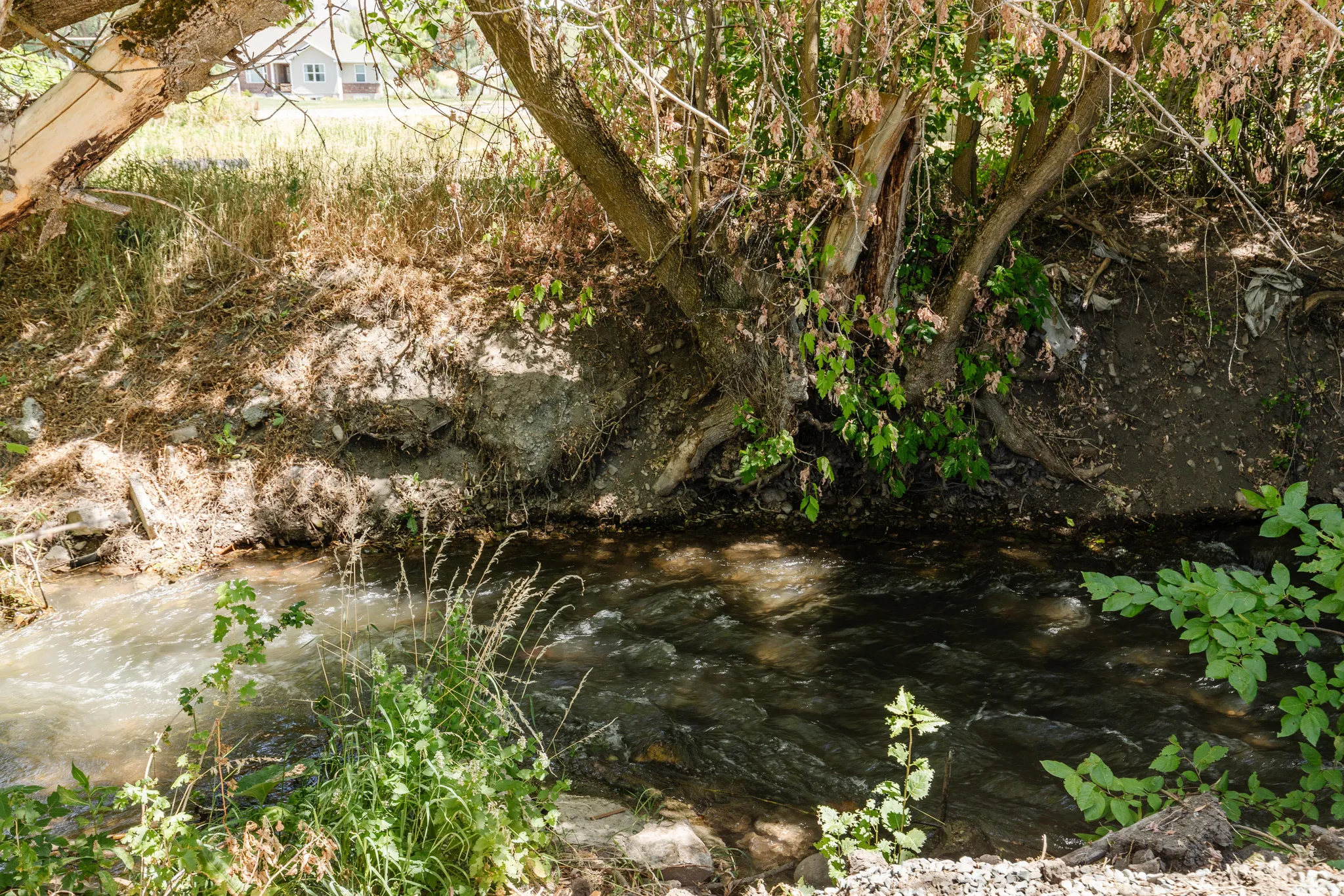 Natural waterway featuring flowing water and surrounding foliage