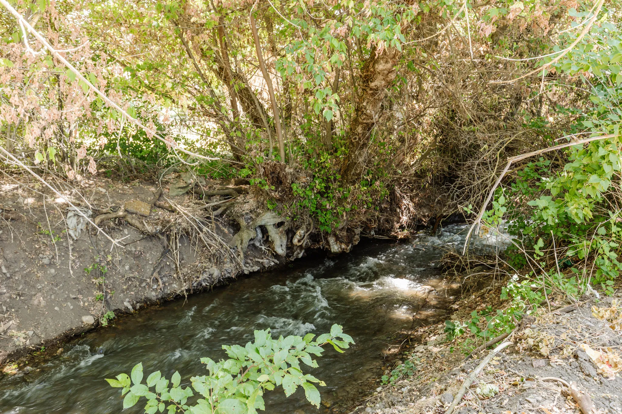 Natural water feature with flowing water and shaded banks