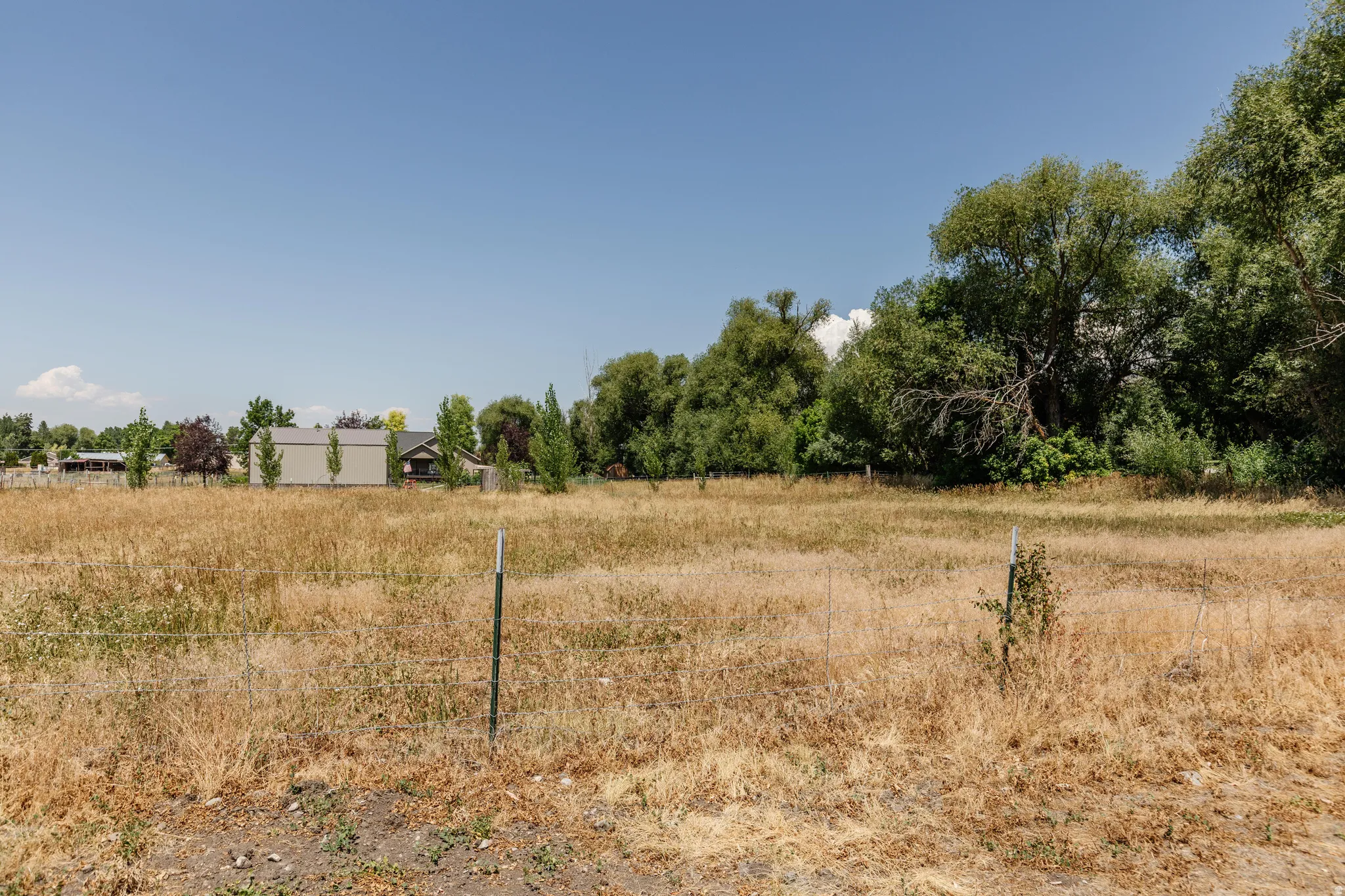 Expansive parcel featuring mature perimeter trees and a clear, level building area