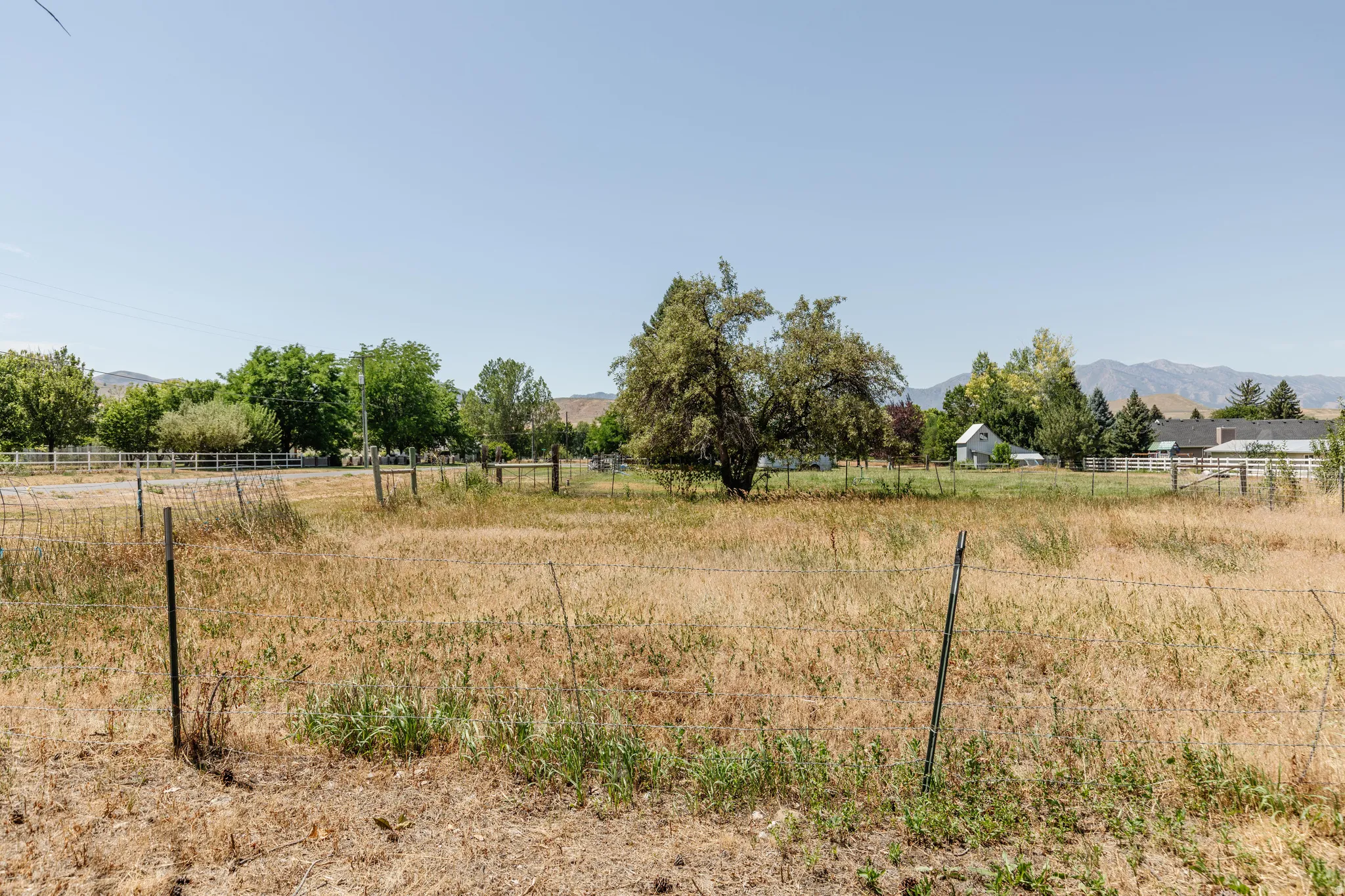 Expansive open field featuring natural grasses and mature trees, bordered by a wire fence