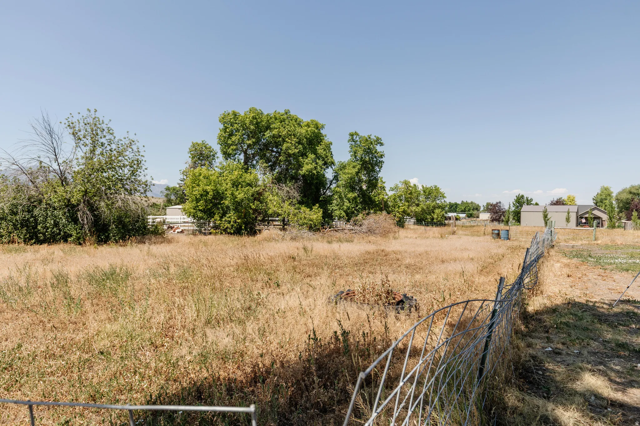 Expansive undeveloped lot with existing perimeter fencing and mature trees