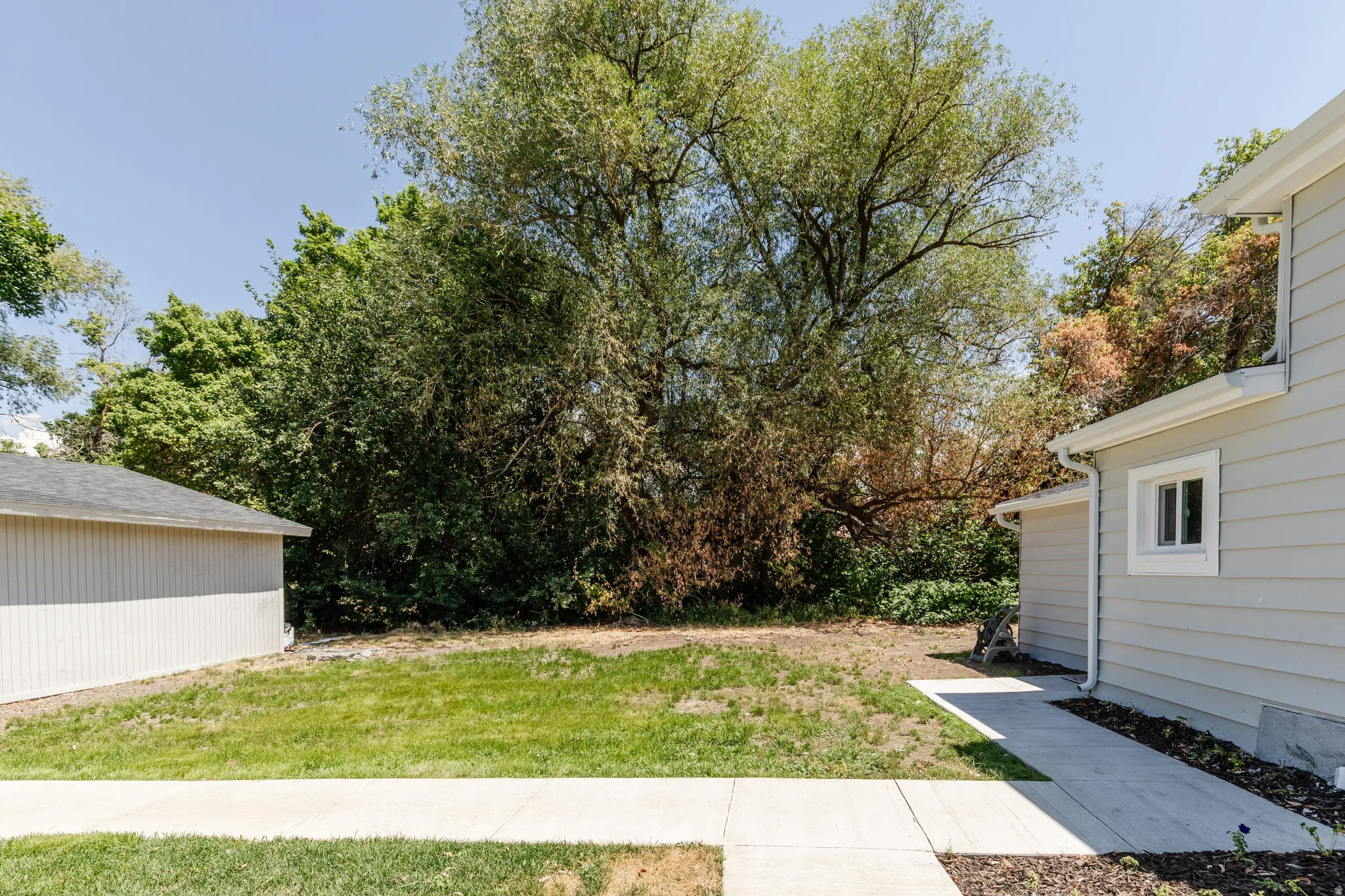 Spacious backyard featuring a concrete walkway, mature perimeter foliage, and a detached structure with a shingled roof