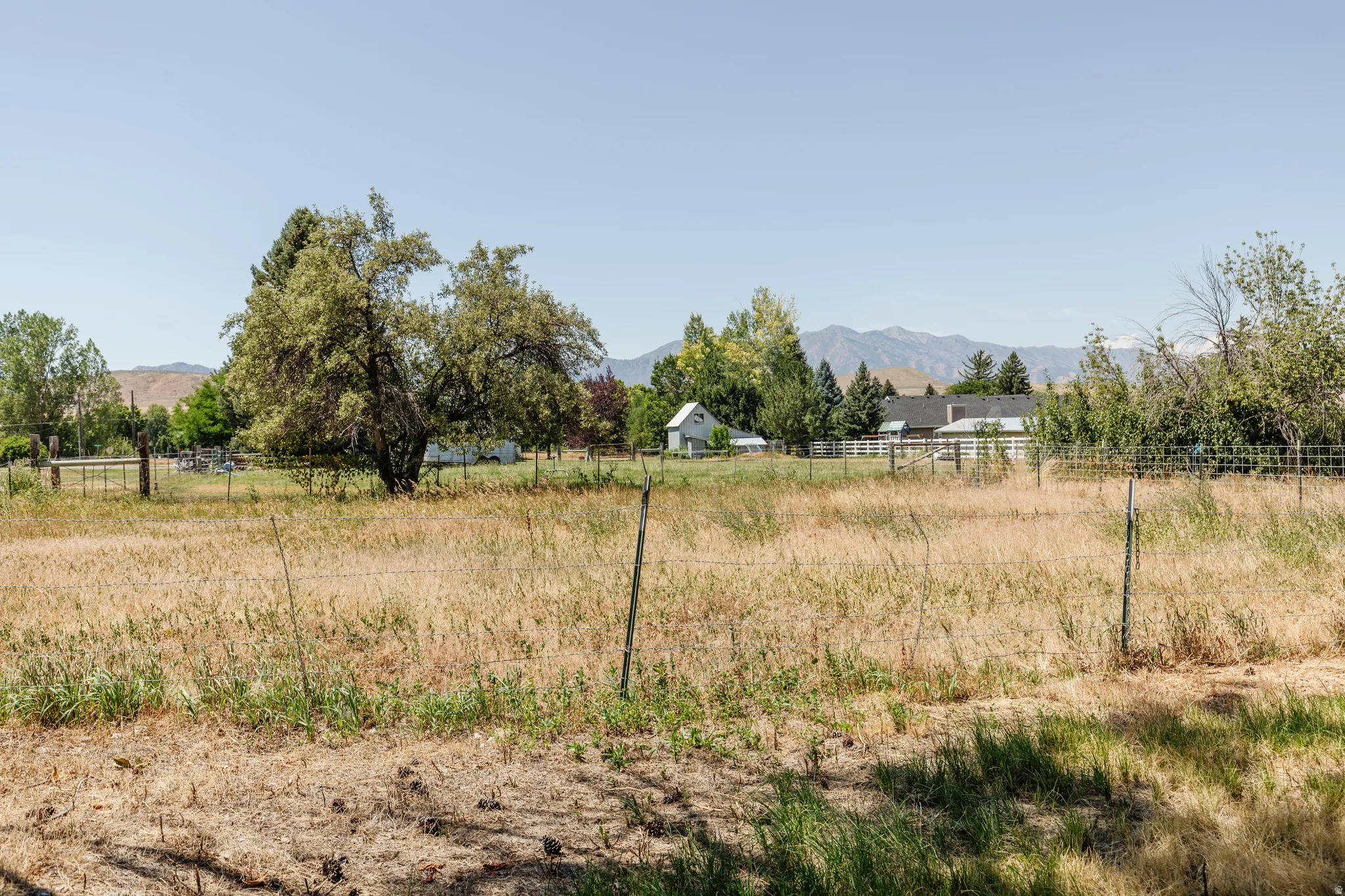 Expansive open field with natural grasses and mature trees, featuring a distant mountain range backdrop
