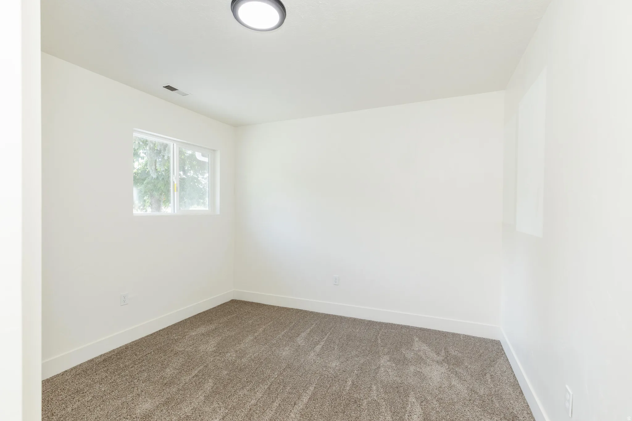 Bright interior space featuring a window with exterior tree views, neutral carpeting, white baseboards, and a flush-mount ceiling light fixture