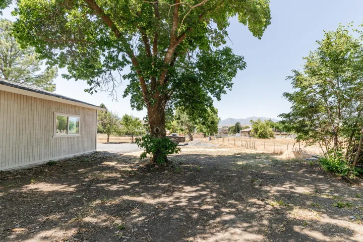 Expansive outdoor area featuring mature trees and a gravel driveway