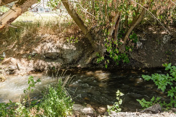 Natural waterway featuring flowing water and surrounding foliage