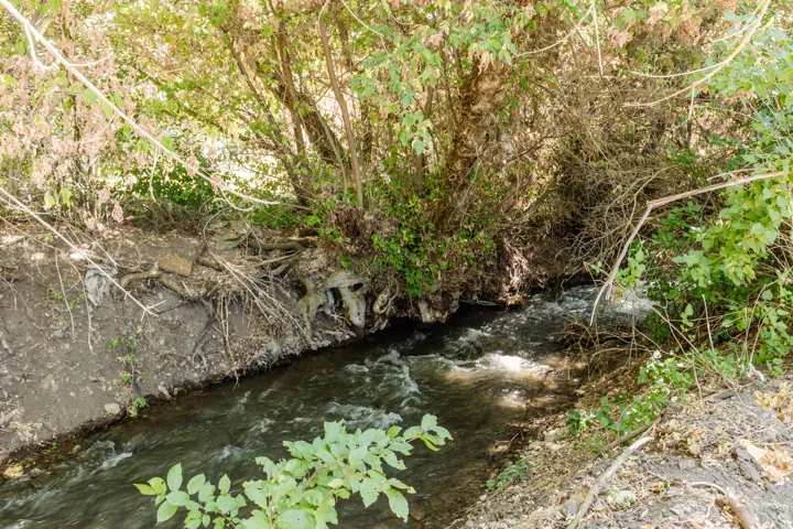 Natural water feature with flowing water and shaded banks