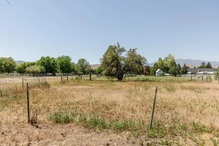 Expansive open field featuring natural grasses and mature trees, bordered by a wire fence