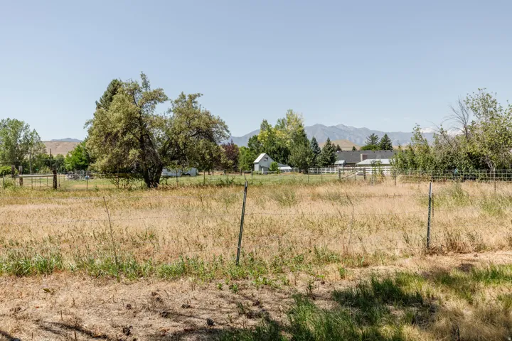 Expansive open field with natural grasses and mature trees, featuring a distant mountain range backdrop