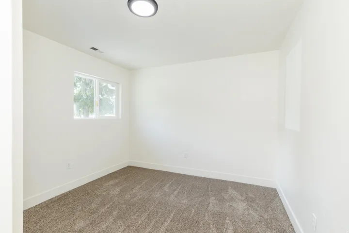 Bright interior space featuring a window with exterior tree views, neutral carpeting, white baseboards, and a flush-mount ceiling light fixture