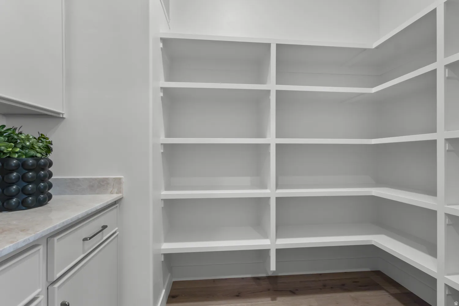 Walk-in pantry featuring extensive white built-in shelving, wood-finish flooring, and a countertop with lower cabinetry